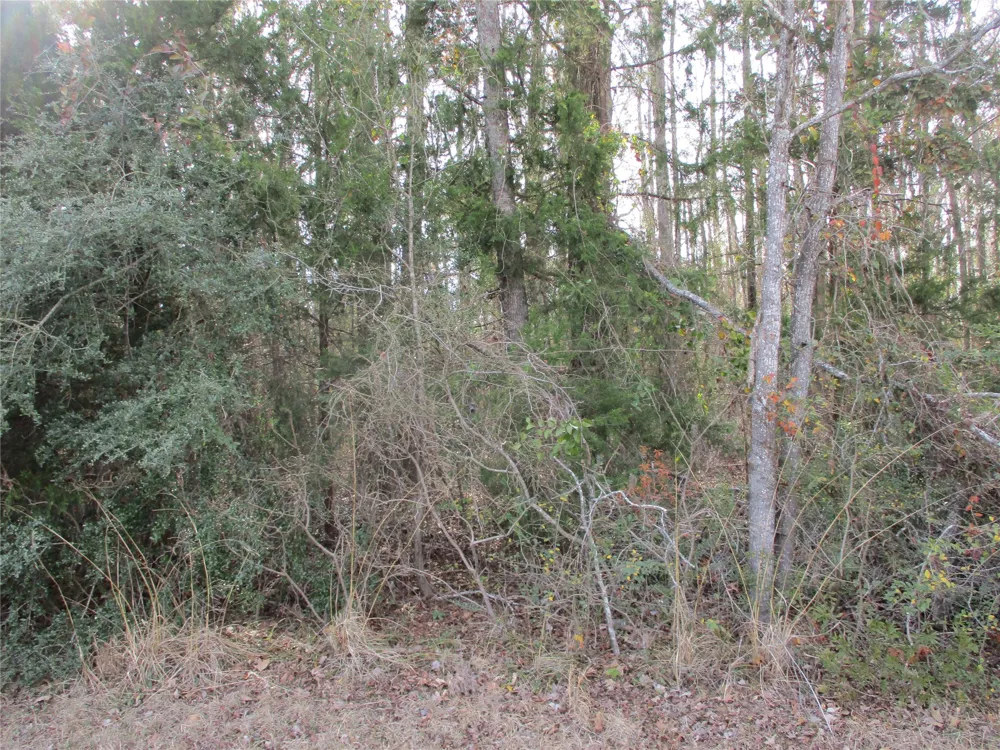 Wood County Road 2958 Alba, TX 75410