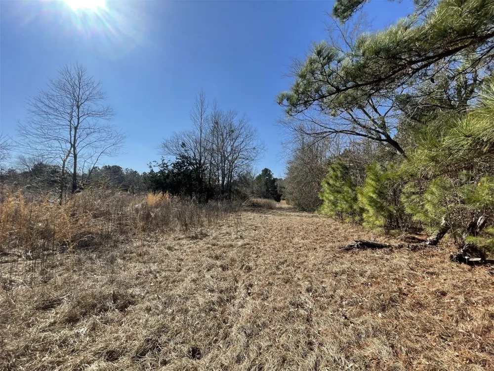17584 Fm 1252 Winona, TX 75792
