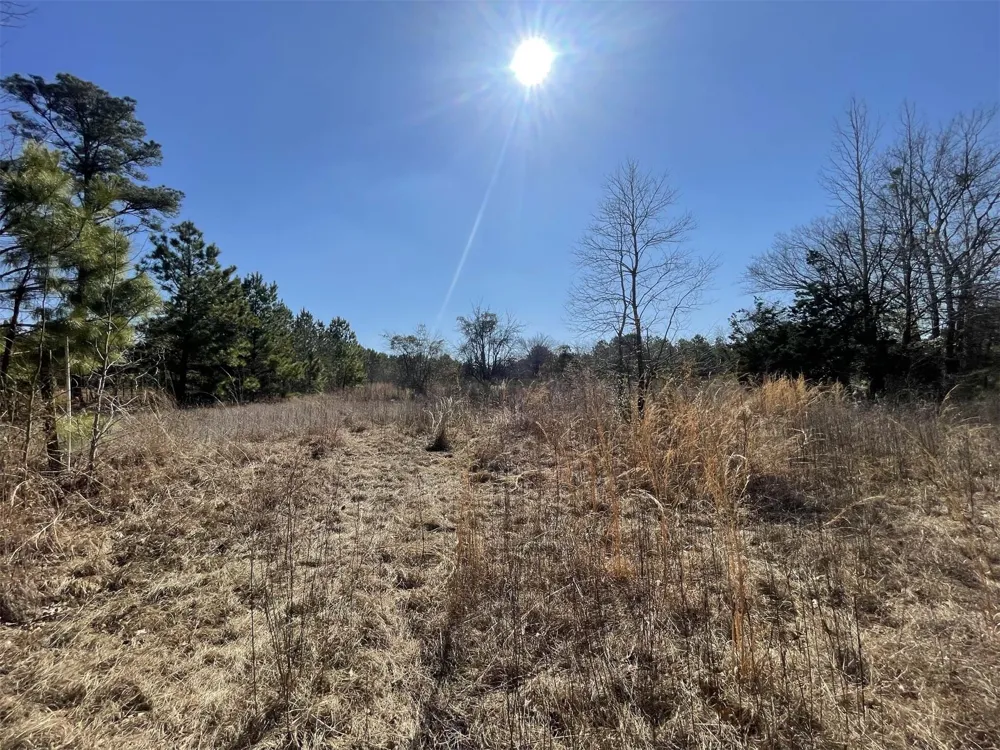 17584 Fm 1252 Winona, TX 75792