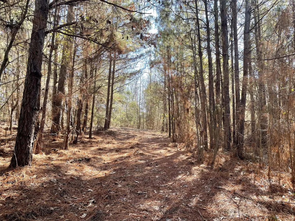 17584 Fm 1252 Winona, TX 75792