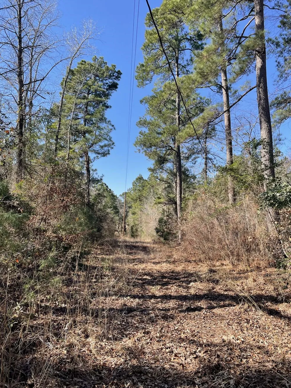 17584 Fm 1252 Winona, TX 75792