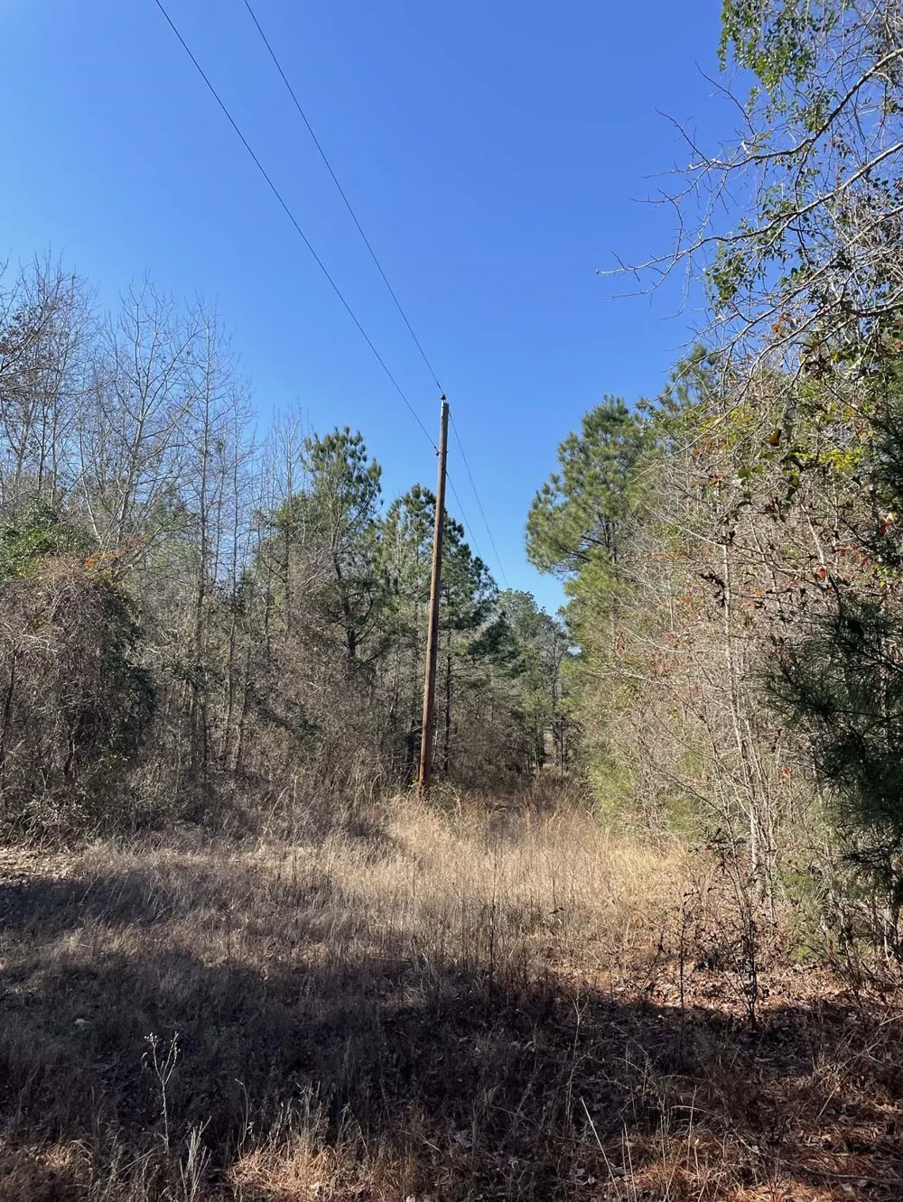 17584 Fm 1252 Winona, TX 75792