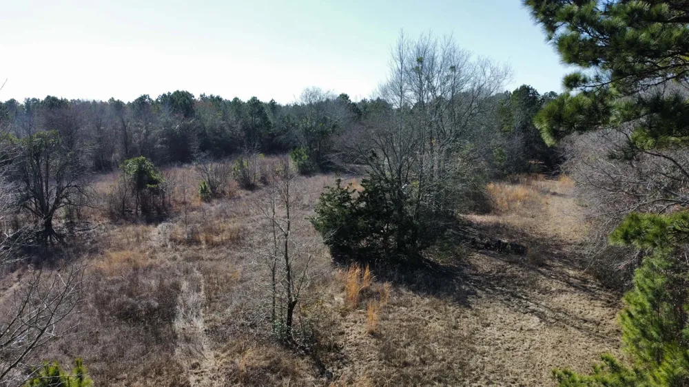 17584 Fm 1252 Winona, TX 75792