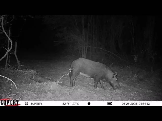 17584 Fm 1252 Winona, TX 75792