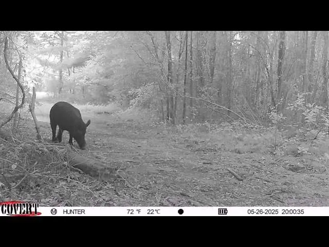 17584 Fm 1252 Winona, TX 75792