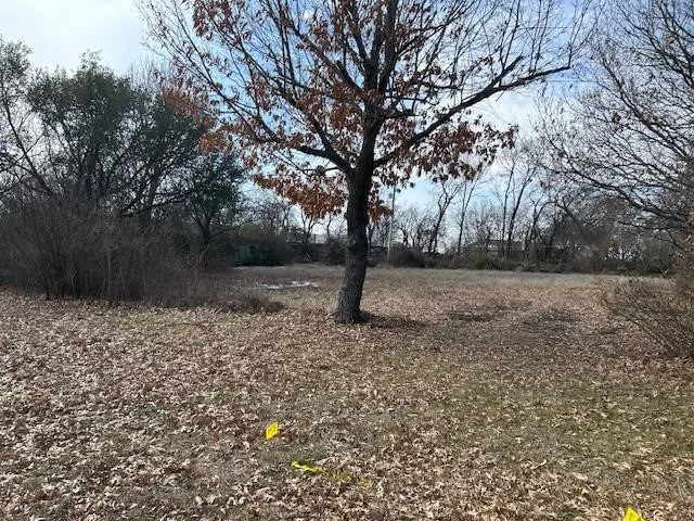 Wallace Street Whitewright, TX 75491