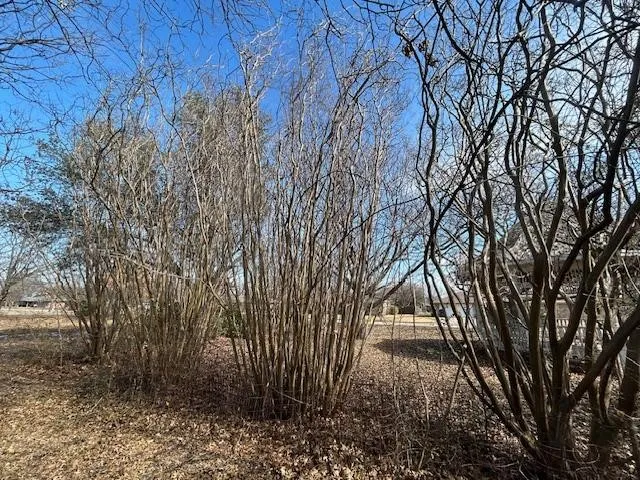 Wallace Street Whitewright, TX 75491