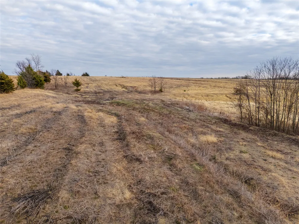 18528 E Fm-1396 Windom, TX 75492