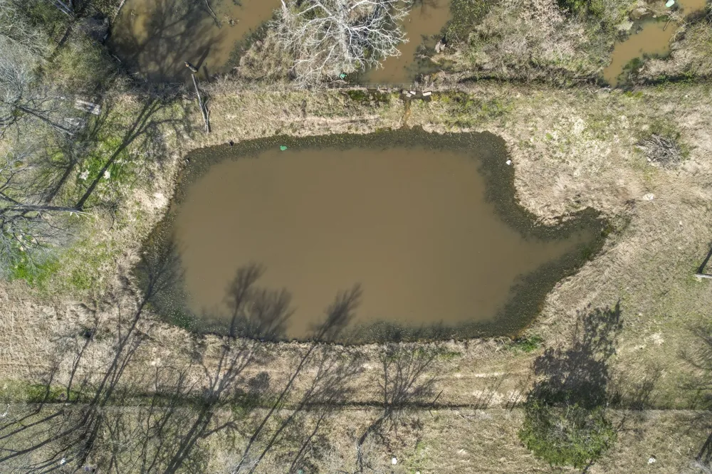 1960 County Road 1030 Mount Vernon, TX 75457