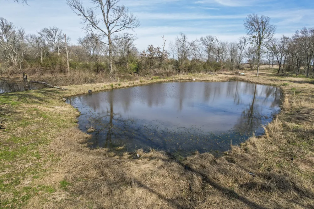1960 County Road 1030 Mount Vernon, TX 75457