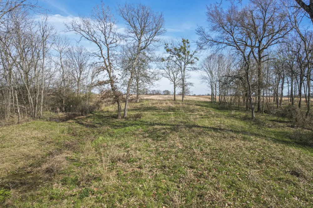 1960 County Road 1030 Mount Vernon, TX 75457