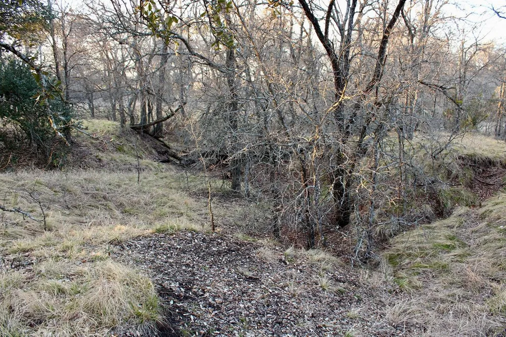 Tatanka Trail Gustine, TX 76455