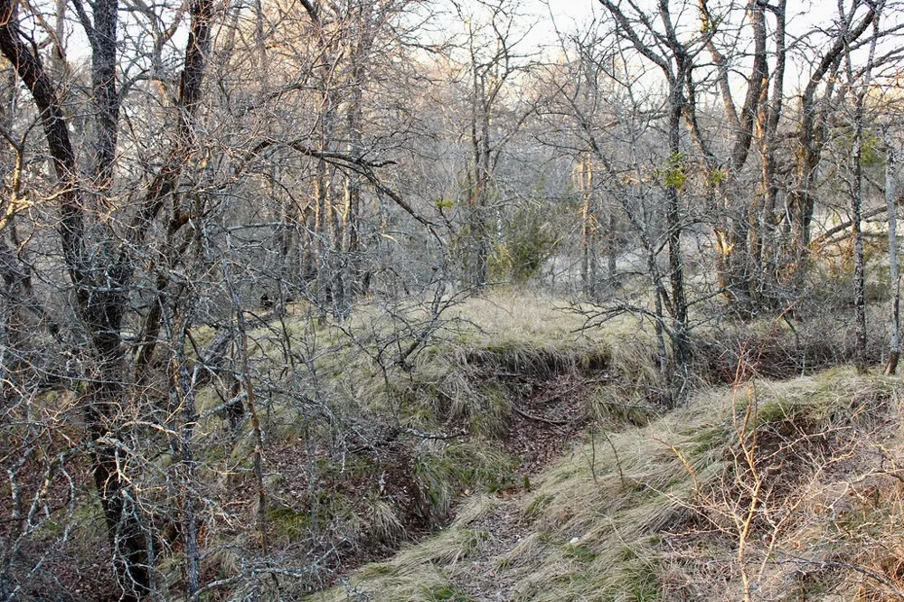Tatanka Trail Gustine, TX 76455