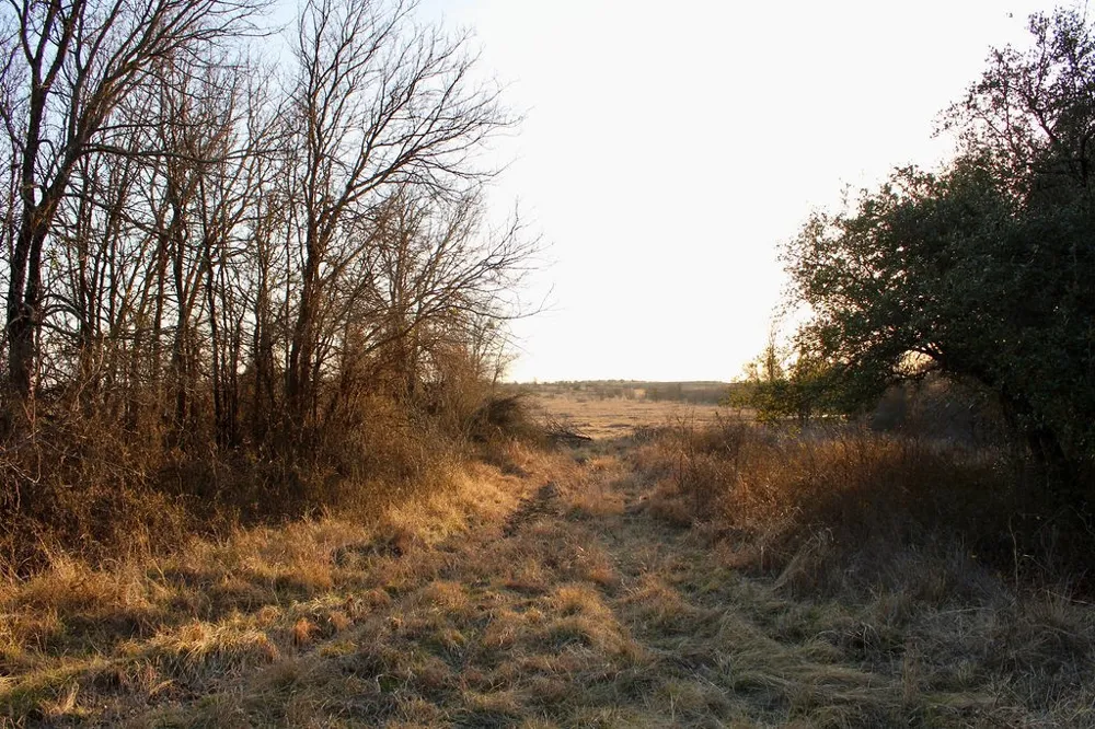 Tatanka Trail Gustine, TX 76455
