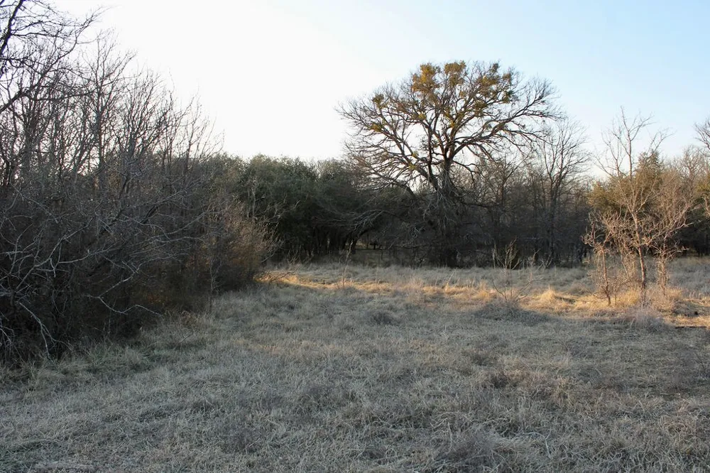 Tatanka Trail Gustine, TX 76455