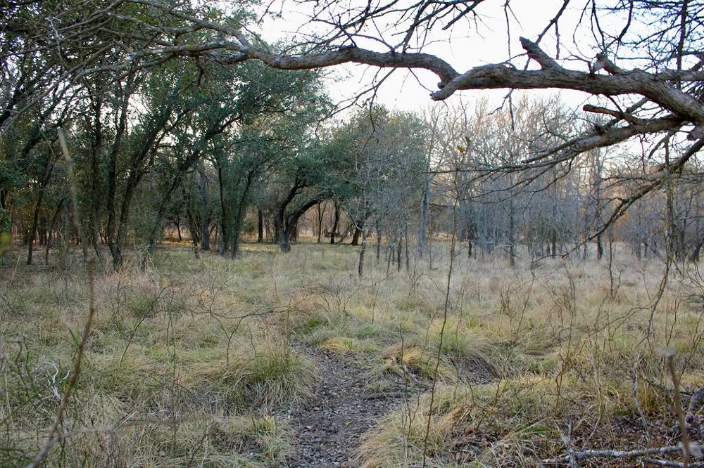 Tatanka Trail Gustine, TX 76455