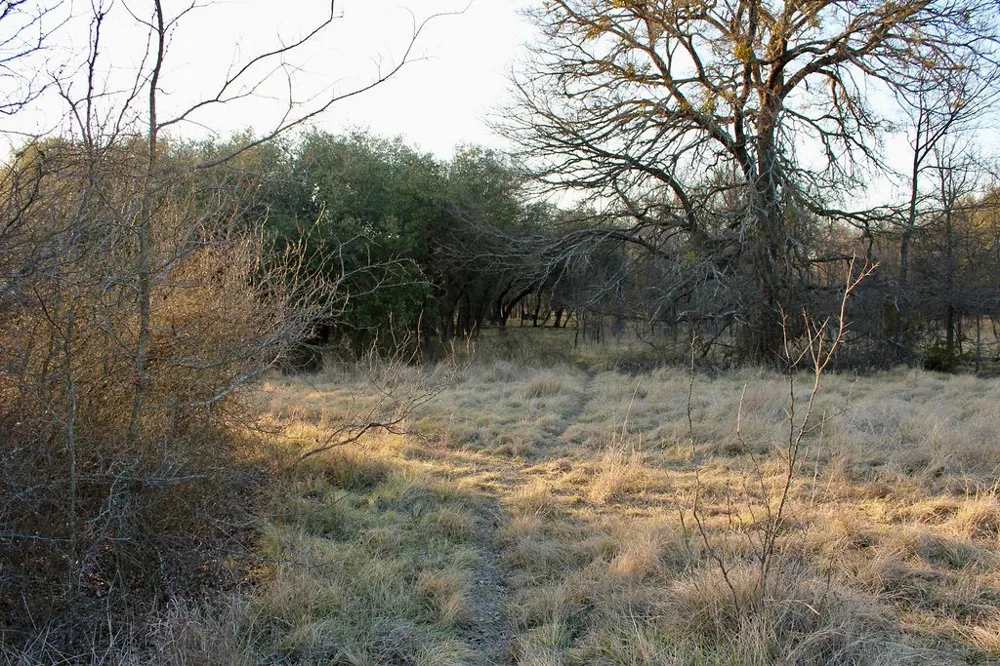 Tatanka Trail Gustine, TX 76455