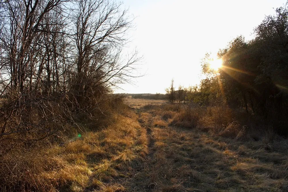 Tatanka Trail Gustine, TX 76455