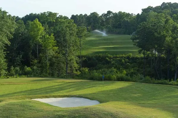 Champion Court Gladewater, TX 75647