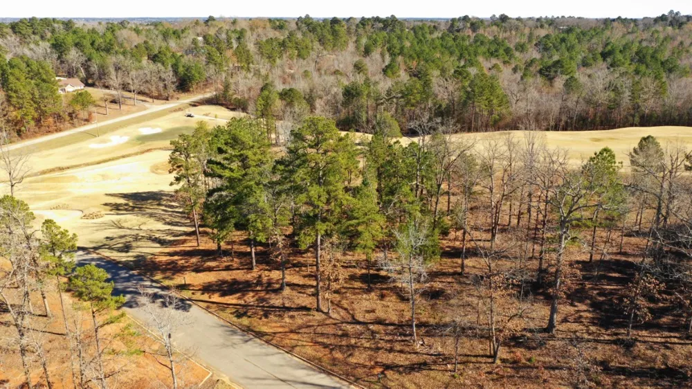 Champion Court Gladewater, TX 75647