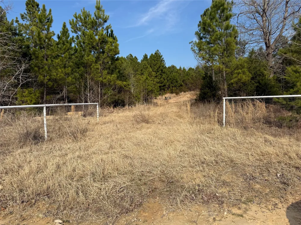 12667 Fm 1255 Canton, TX 75103