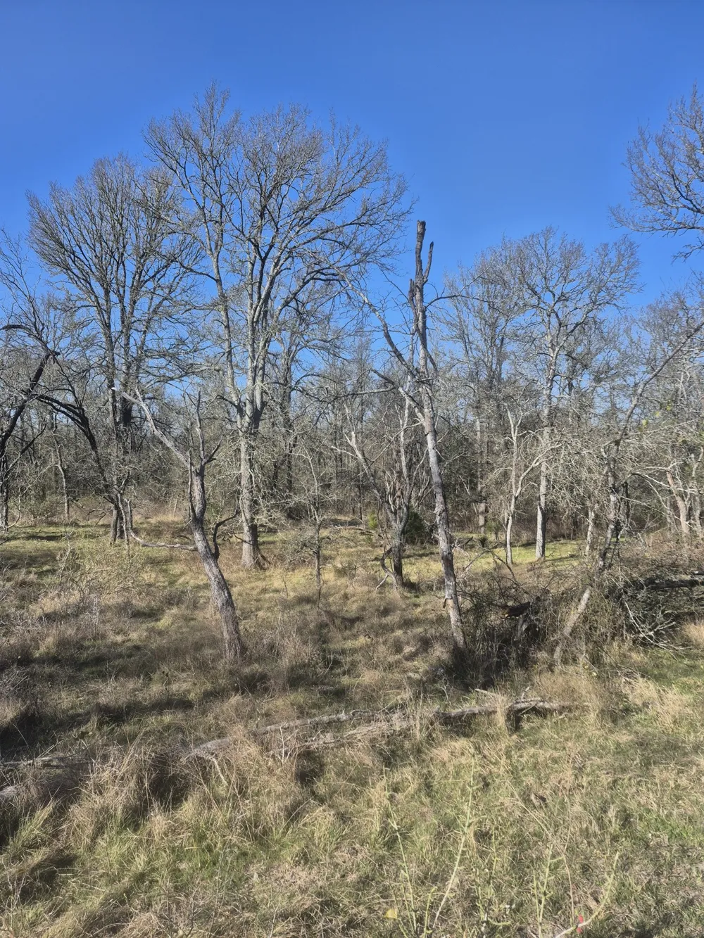 474 Fm 2958 Marlin, TX 76661