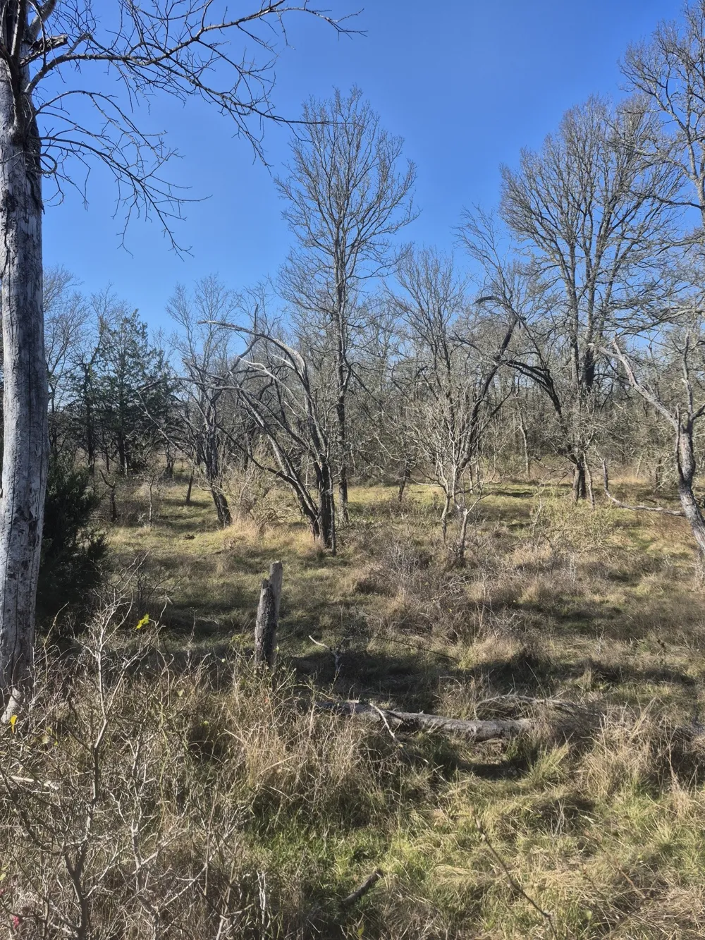 474 Fm 2958 Marlin, TX 76661