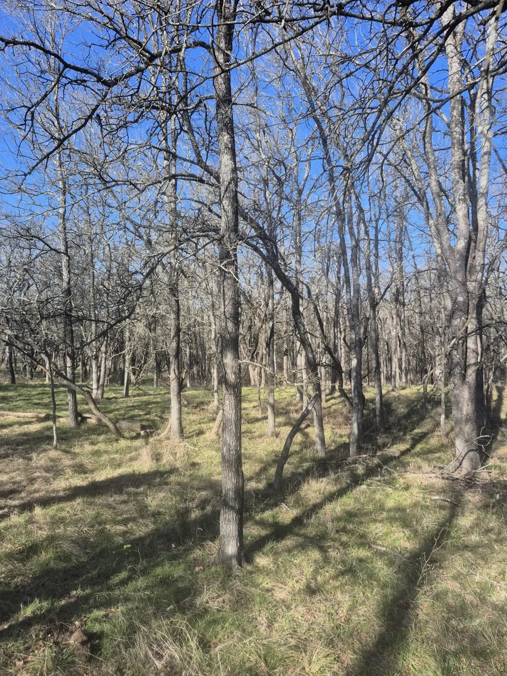 474 Fm 2958 Marlin, TX 76661