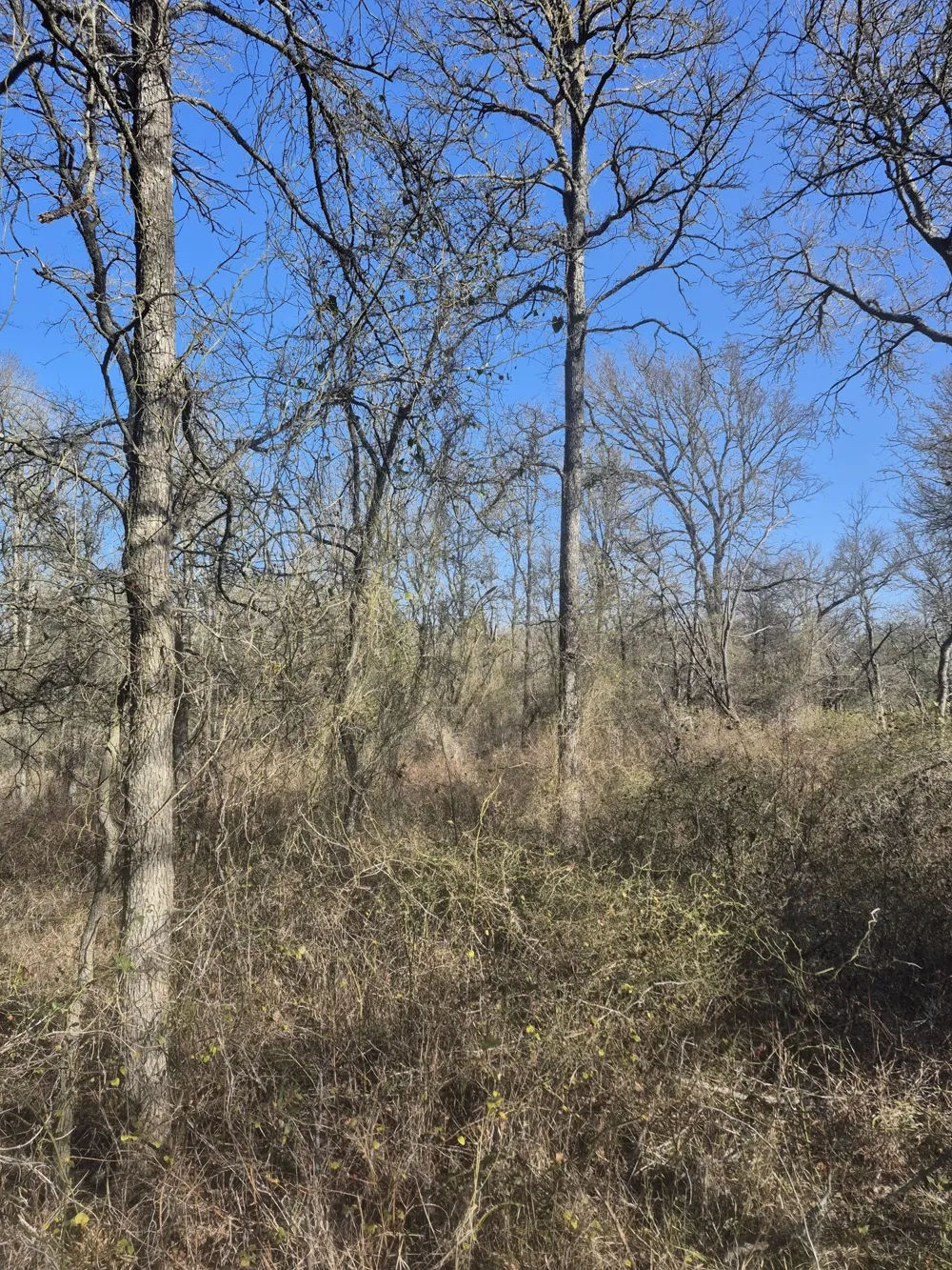 474 Fm 2958 Marlin, TX 76661