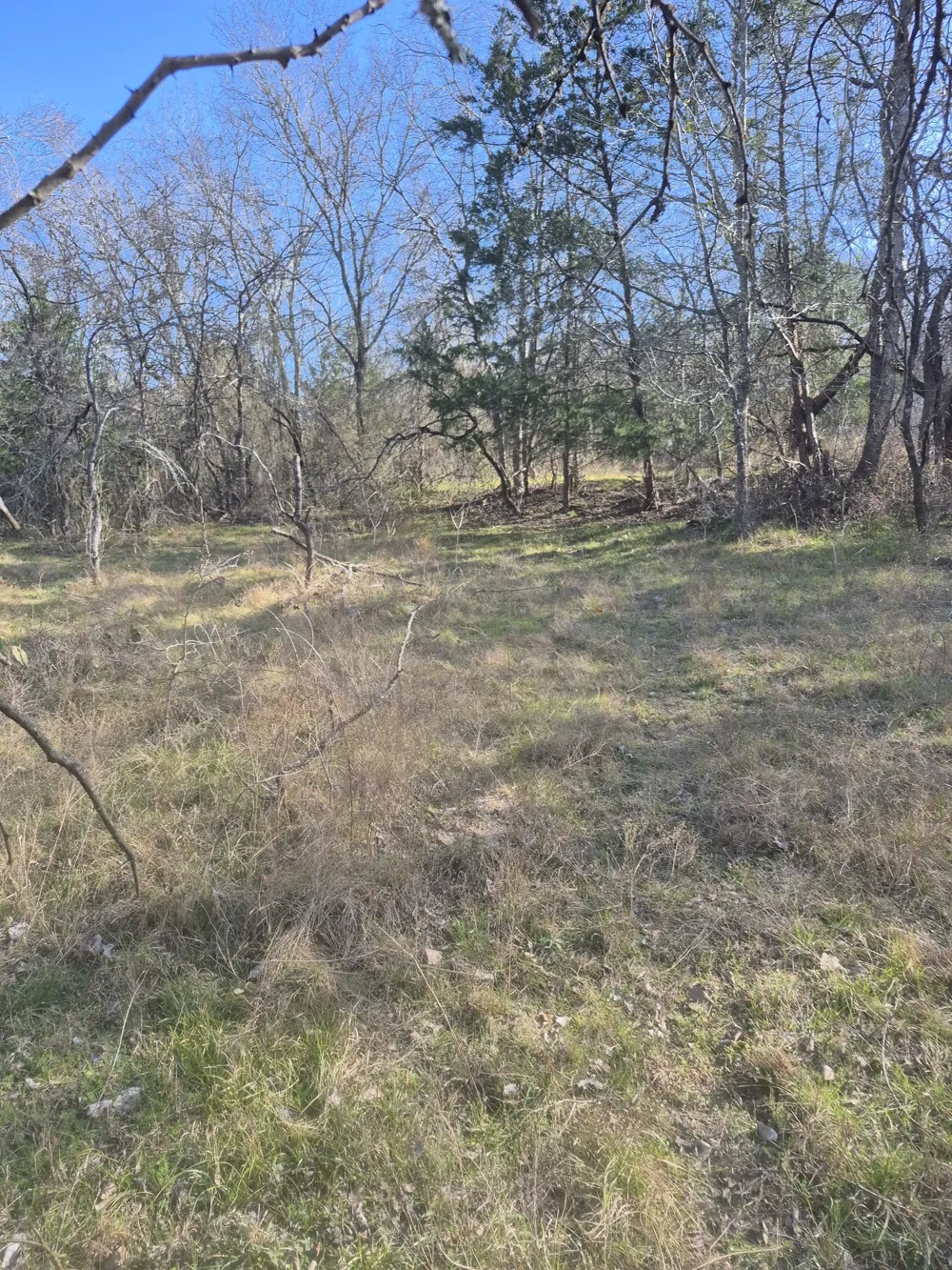 474 Fm 2958 Marlin, TX 76661