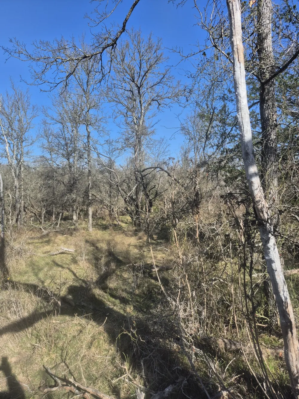 474 Fm 2958 Marlin, TX 76661