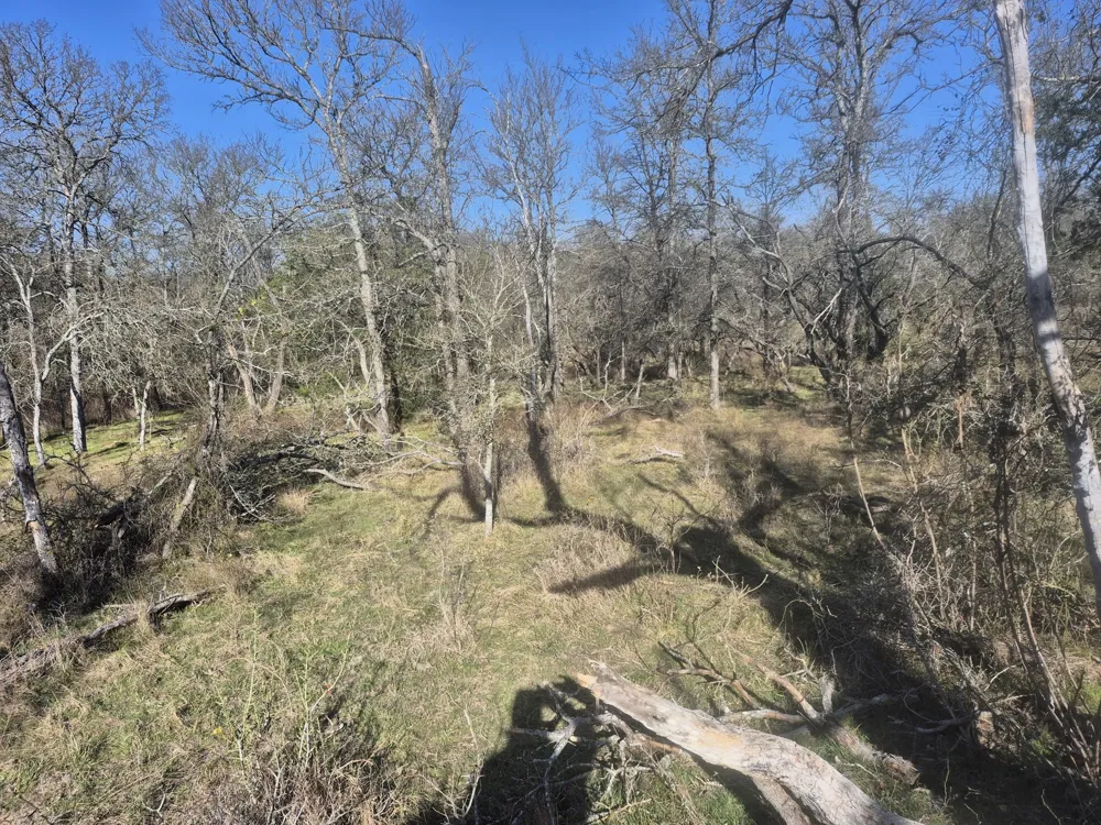 474 Fm 2958 Marlin, TX 76661