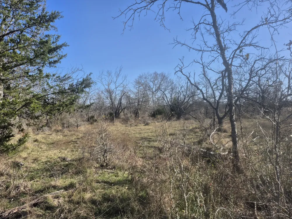 474 Fm 2958 Marlin, TX 76661