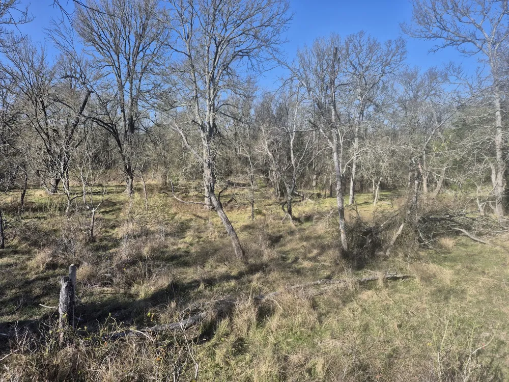 474 Fm 2958 Marlin, TX 76661