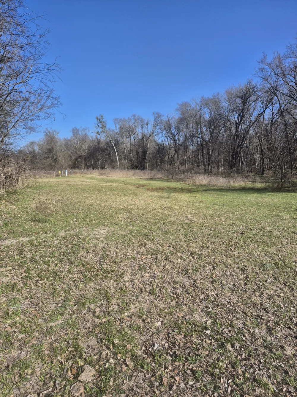 474 Fm 2958 Marlin, TX 76661
