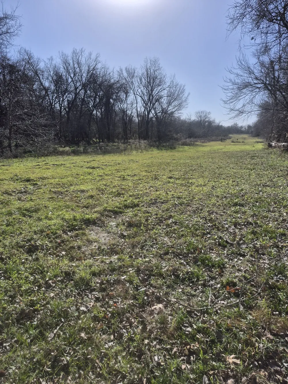474 Fm 2958 Marlin, TX 76661