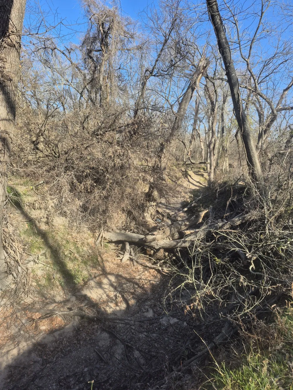 474 Fm 2958 Marlin, TX 76661
