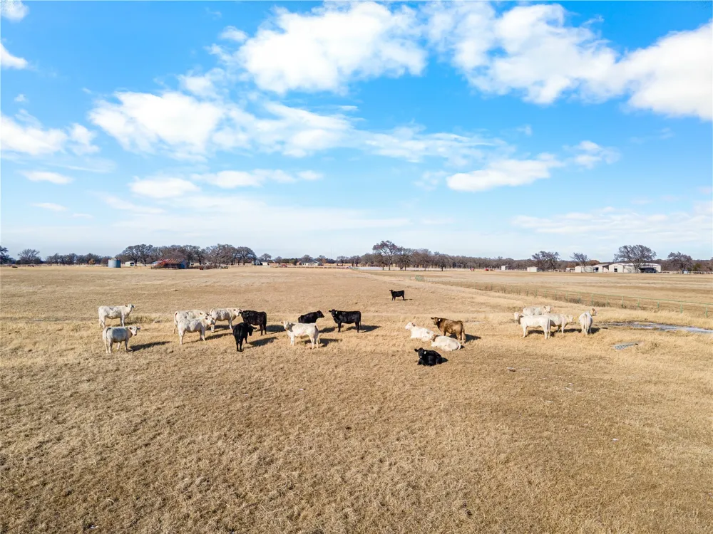 2465 Harpole Road Tioga, TX 76271