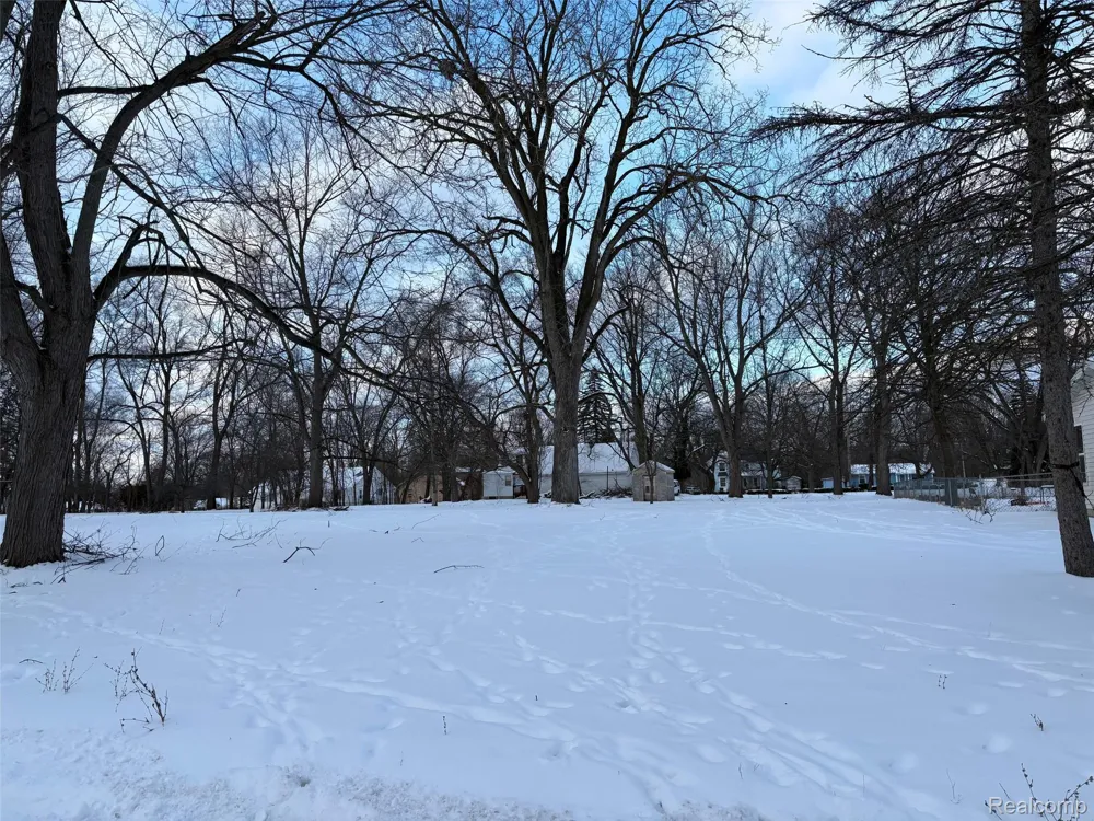 2918 Midwood Street Lansing City, MI 48911