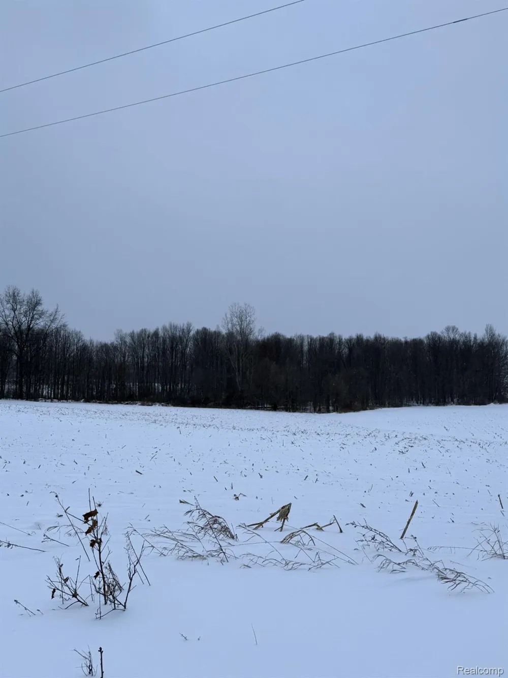 Thom Road Oregon Township, MI 48721