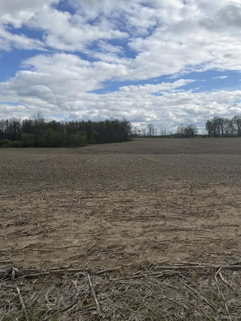 Thom Road Oregon Township, MI 48721