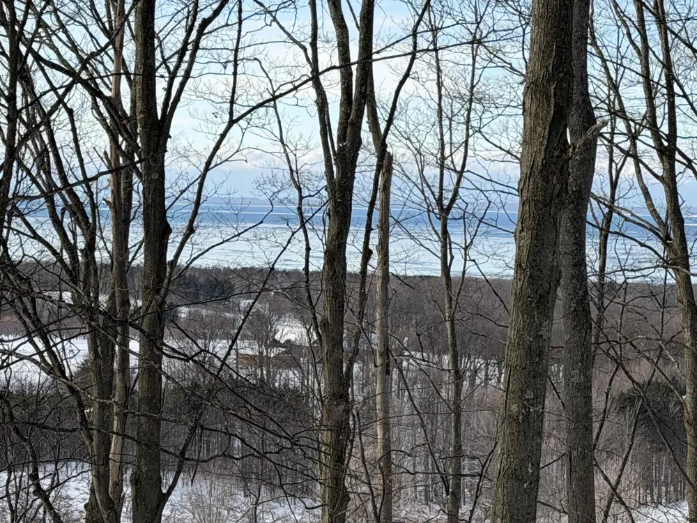 Christianson Road Leelanau Township, MI 49670