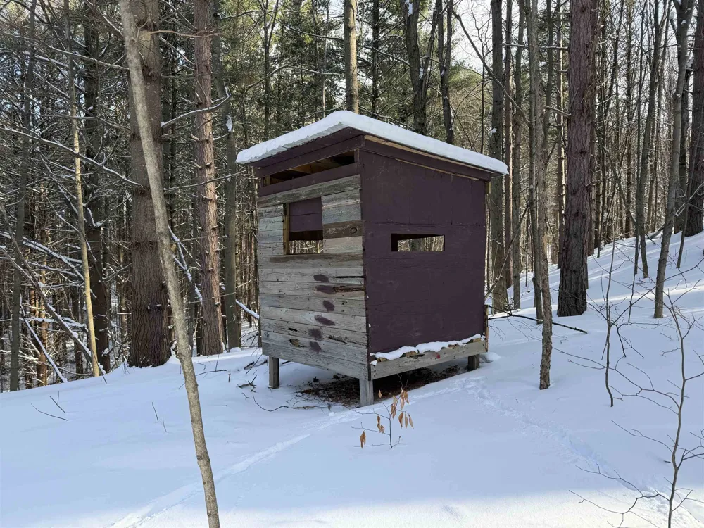 Christianson Road Leelanau Township, MI 49670
