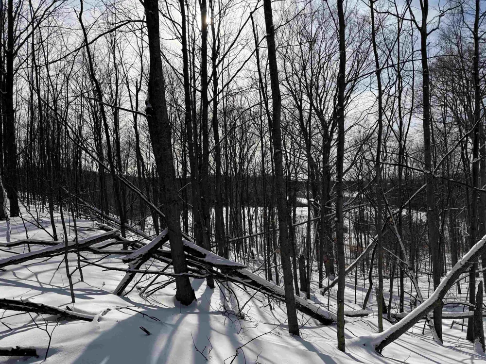 Christianson Road Leelanau Township, MI 49670