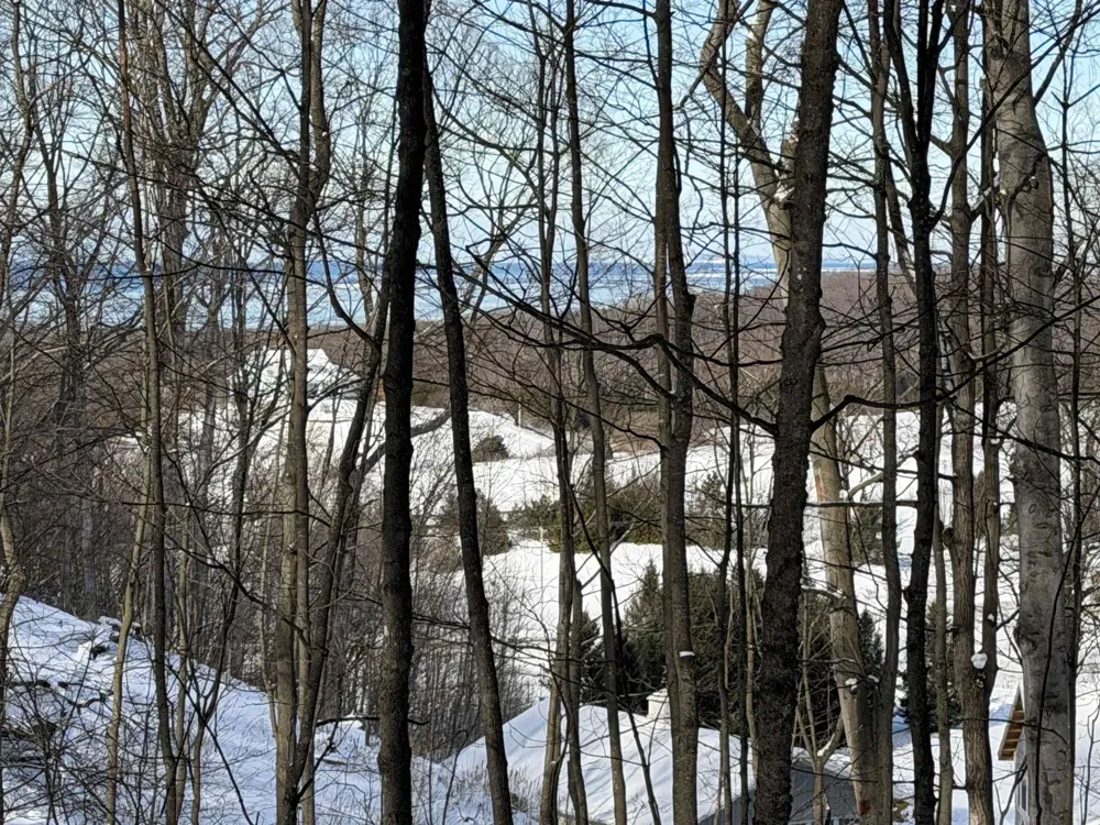 Christianson Road Leelanau Township, MI 49670