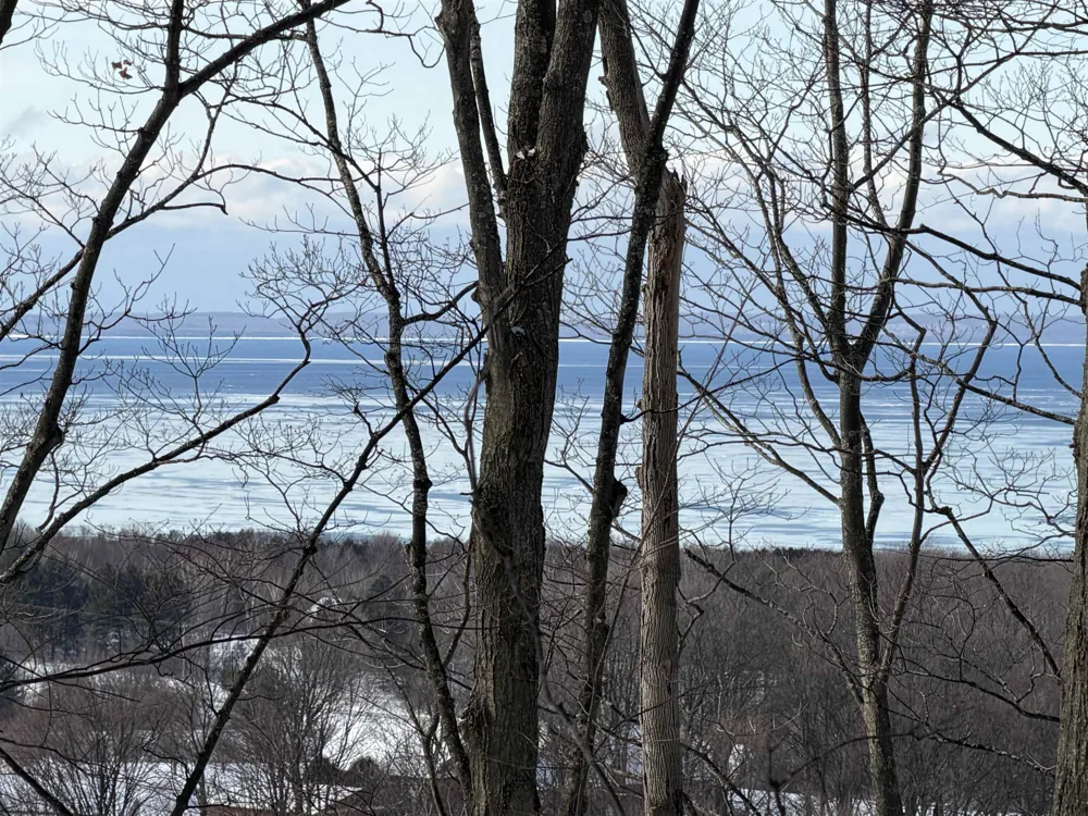 Christianson Road Leelanau Township, MI 49670