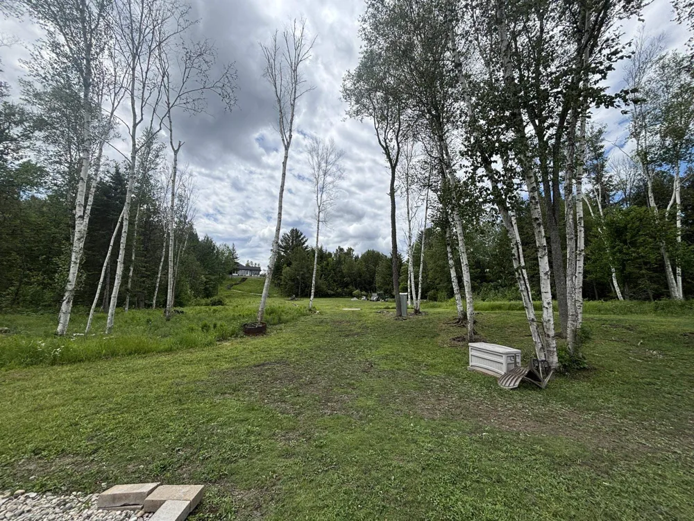 3681 Riverview Road Greenwood Township, MI 49663