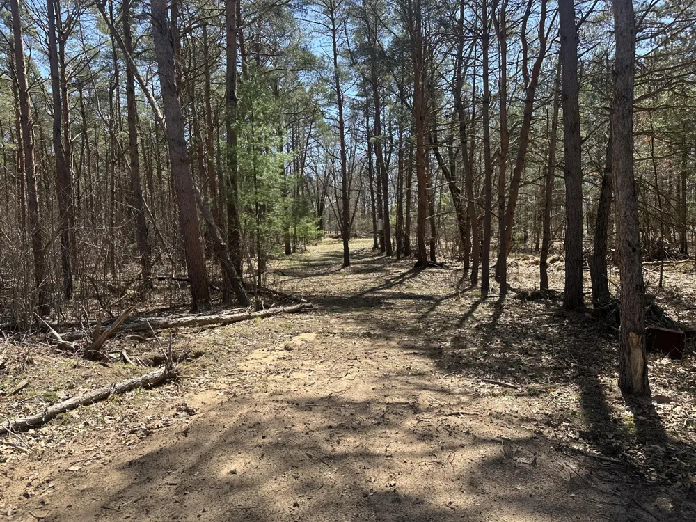 604 W Beaver Road Lilley Township, MI 49309