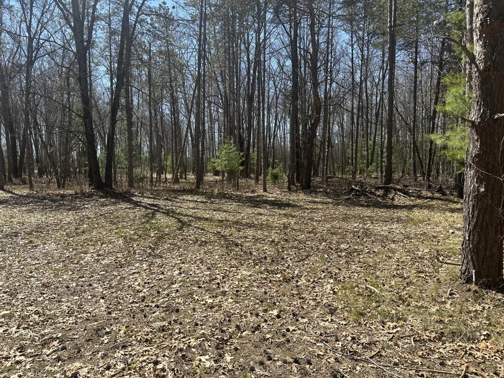 604 W Beaver Road Lilley Township, MI 49309