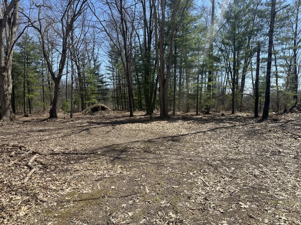 604 W Beaver Road Lilley Township, MI 49309